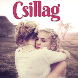 Ezüst csillag