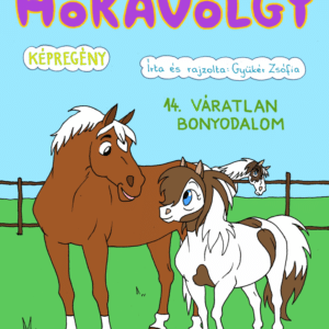 Hókavölgy 14. - Váratlan bonyodalom