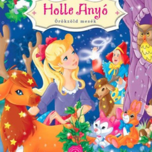 Holle Anyó
