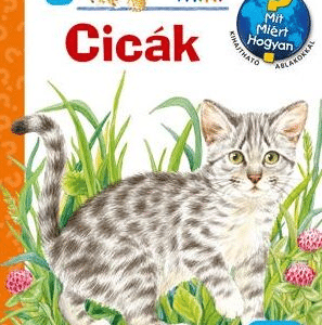 Cicák