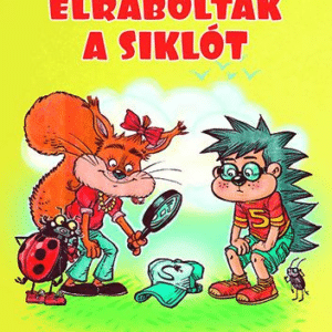 Elrabolták a siklót