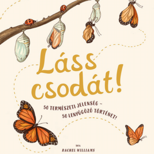 Láss csodát!