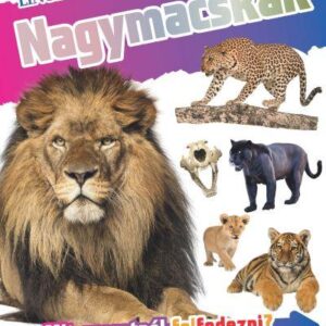 Fedezd fel! Nagymacskák